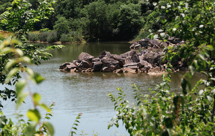 在線溶氧儀對水產養殖的幫助 在線溶氧儀對水產養殖的幫助